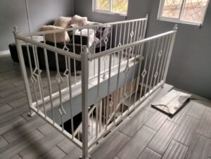 PHOTO-2025-10-11-11-10-22